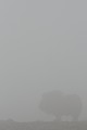 Faute de pouvoir guetter les alentours, le jeune ado a la tête dans les nuages...  