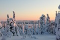 L'aube vient mettre une pointe de rose dans un paysge en bleu et blanc  