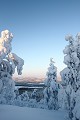 Du haut de la petite colline, s'étendent forêts et lacs gelés  