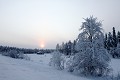 Par le froid ambiant, tout semble figé, même le soleil qui peine à s'élever au dessus de la taïga  