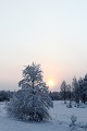 Voile de brume sur le lever de soleil  