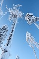 Changement de point de vue  