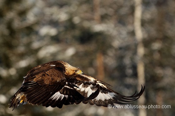 Prise d'altitude