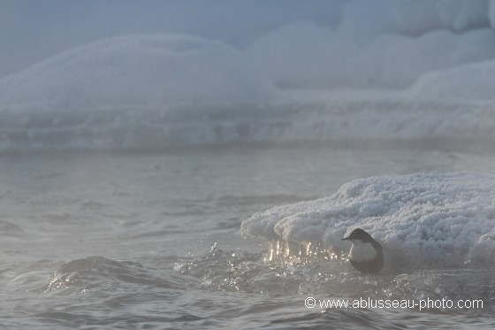 Plage de glace