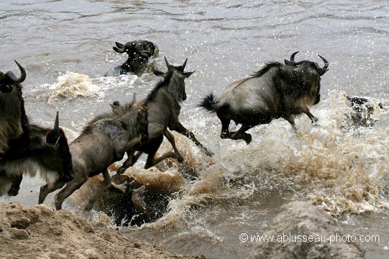 Le grand saut