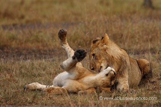 tendresse fraternelle
