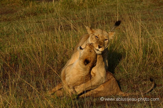 Prise de catch !