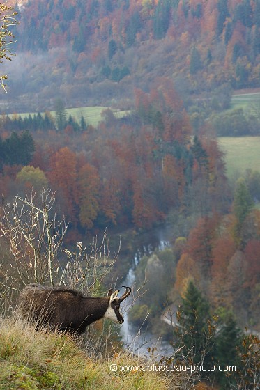 Vue sur la vallée